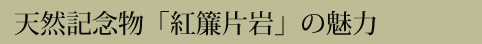 天然記念物「紅簾片岩」の魅力